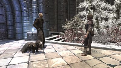 Фус Ро Мяу - котики становятся компаньонами в новом моде для The Elder Scrolls V: Skyrim